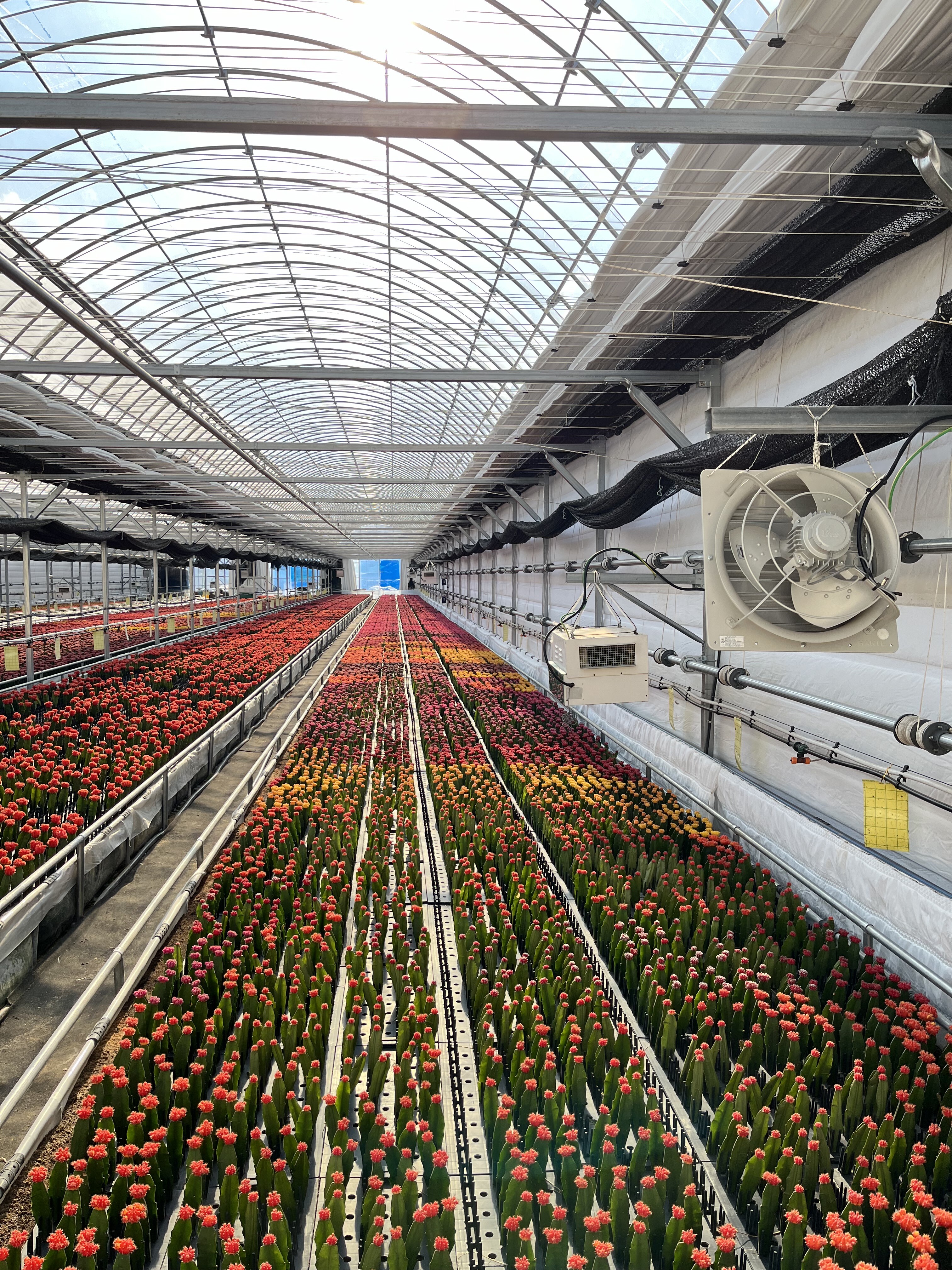 Greenhouse irrigation